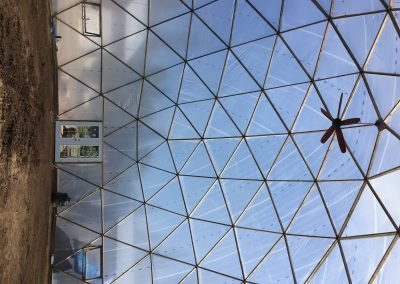 Image-6-e1485288788124